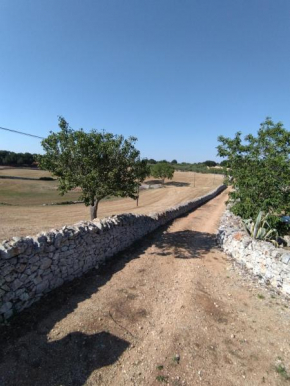 Гостиница Masseria Catucci Agriturismo  Альберобелло